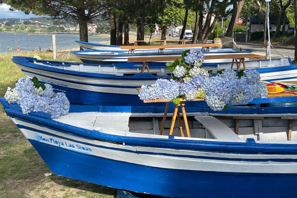 Mariscada a pie de playa