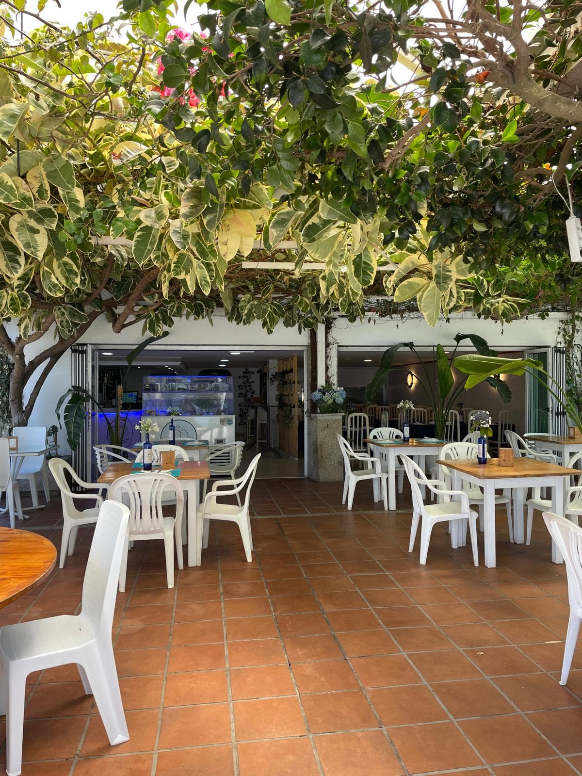 Hotel Playa Las Sinas